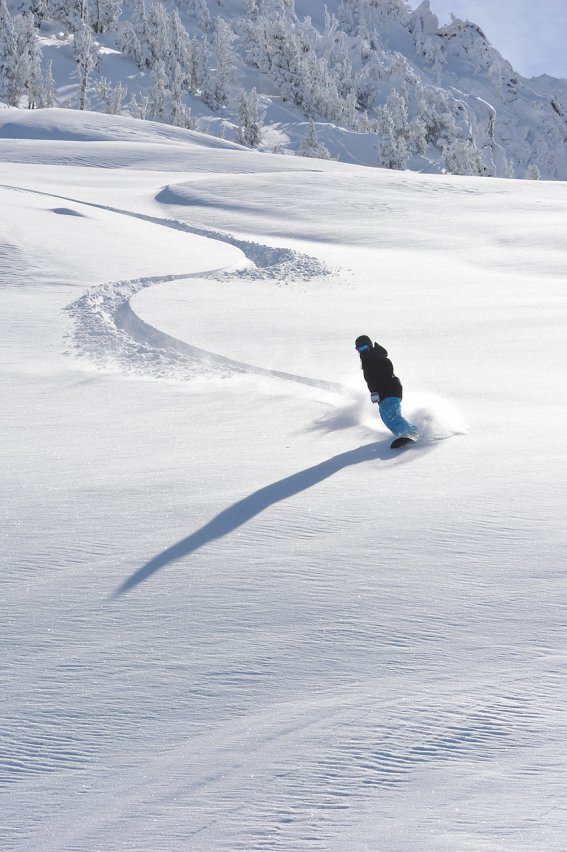 Mammoth Mountain Ski Area