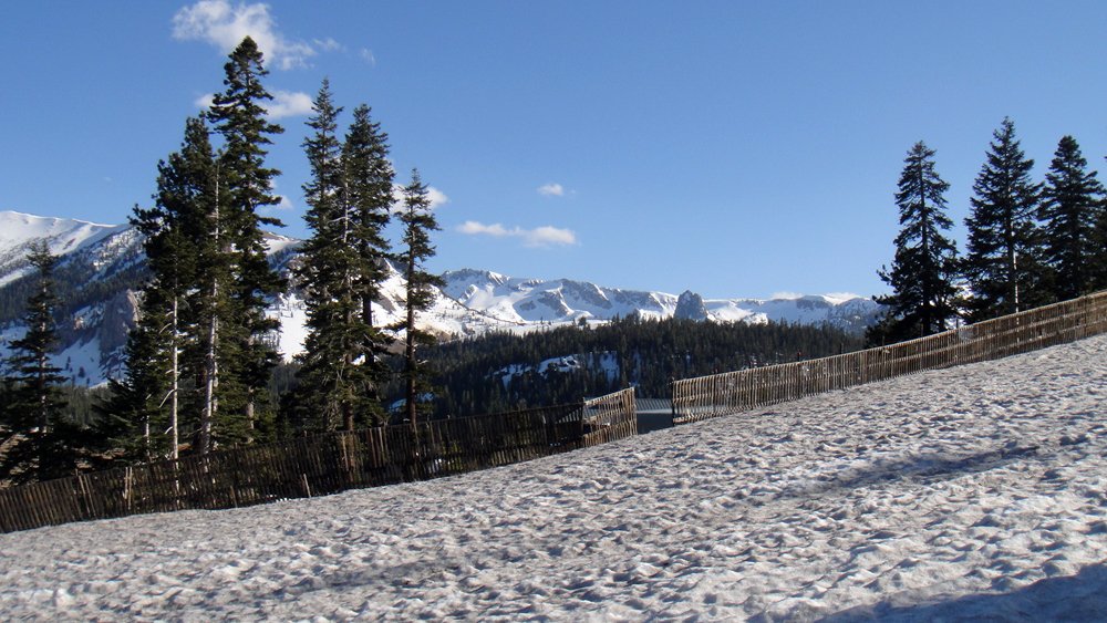 dsc09010