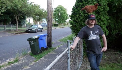 chickenonhead