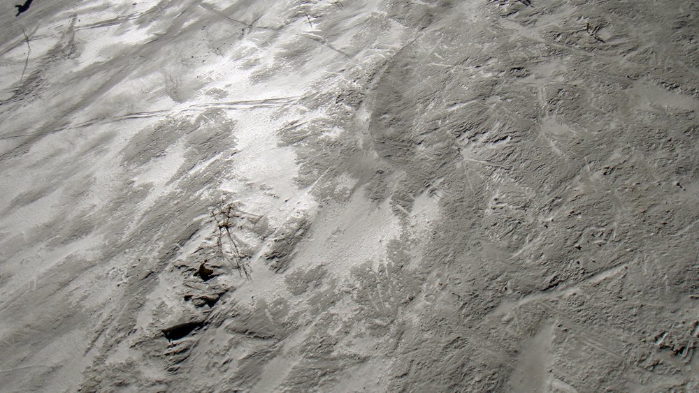 dsc01509