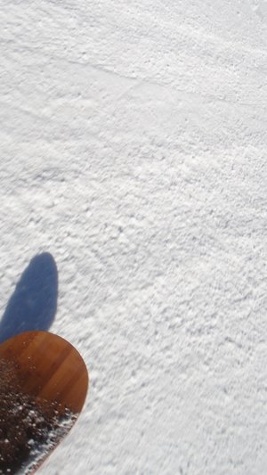 dsc02231