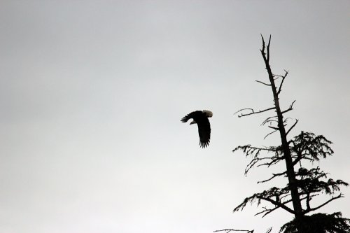 img_0629