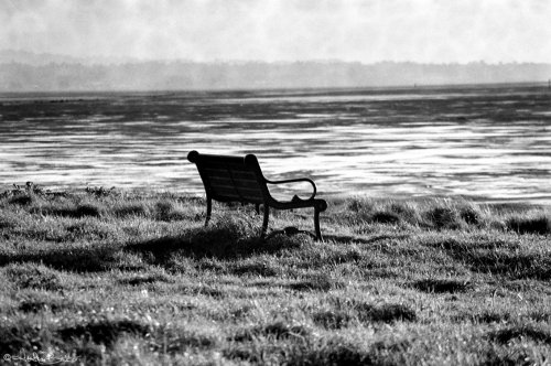 hum_bench-1024x679