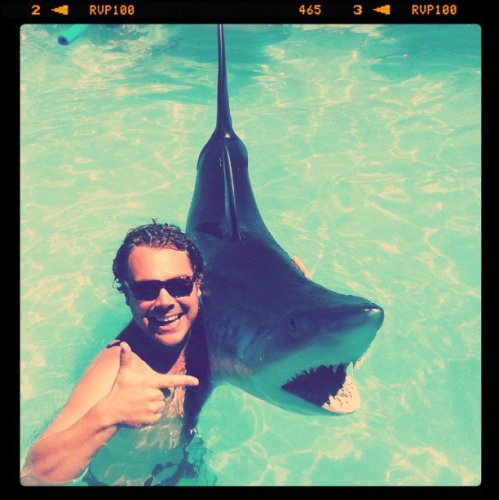 sharkattack_hanklambophoto