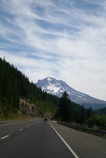 summershred_1