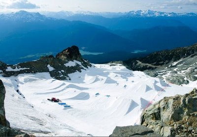 summershred_2