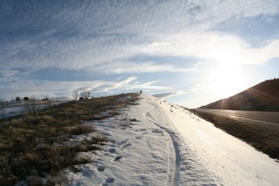 summershred_4