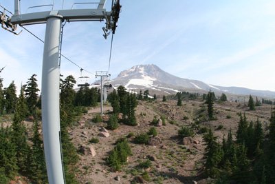 img_8251