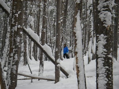 imgp0095