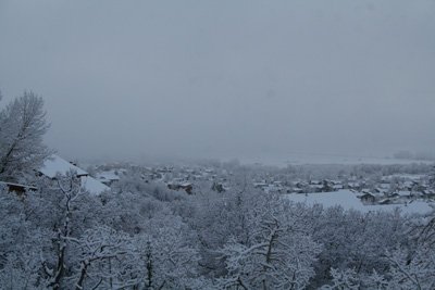 img_9648