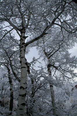 img_9645