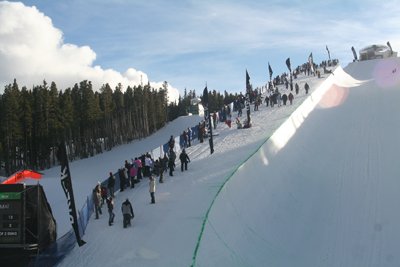 spectators