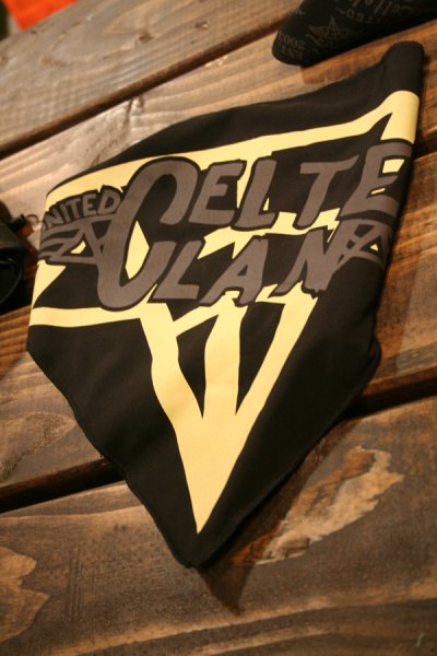 celtek_8