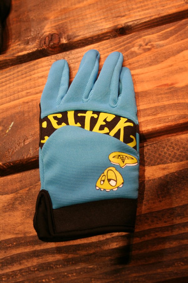 celtek_10