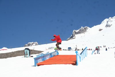 img_6539
