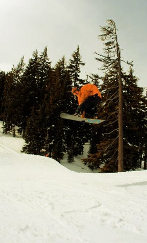 solsticesupply-2