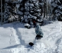 Shay riding powder