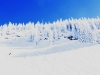 Shayboarder at Steamboat